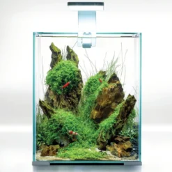 Discount Shrimpset Day and Night 20 L 25x25x30 cm Hvid Akvarier