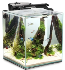 Clearance Shrimpset Duo 49 L 35x35x40cm Sort Akvarier