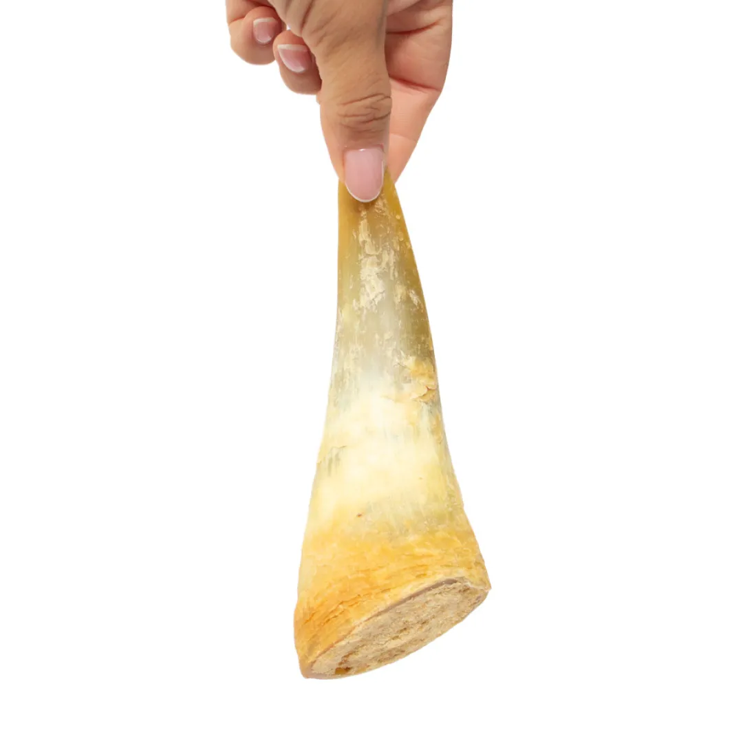 Best Snack'it Fyldt Oksehorn Hundeguf Og Tyggeben Til Hunde