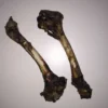 Best Snackit hjorteben ca 20 cm Hundeguf Og Tyggeben Til Hunde