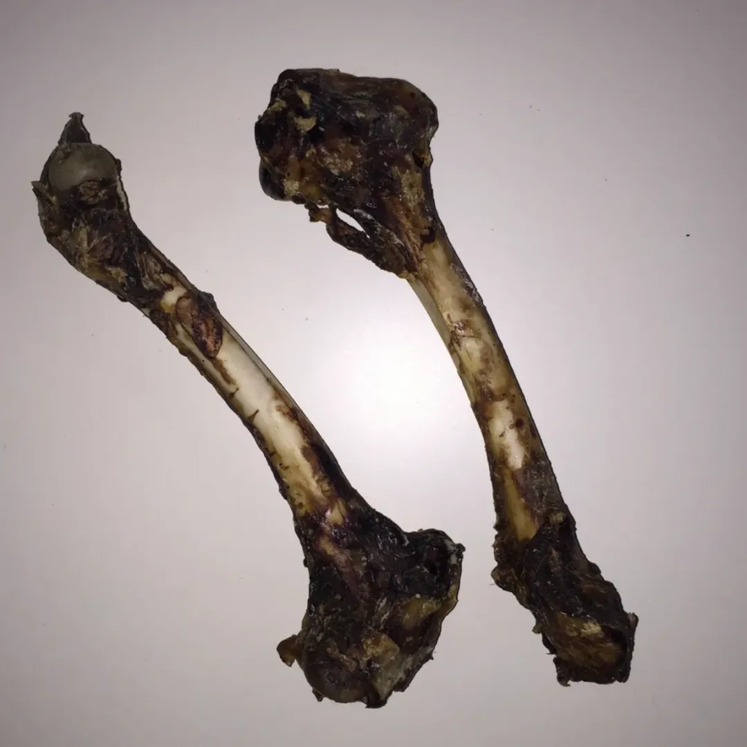 Best Snackit hjorteben ca 20 cm Hundeguf Og Tyggeben Til Hunde