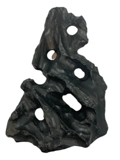 New Sort Hulsten 12-15 cm pr stk Aquascaping