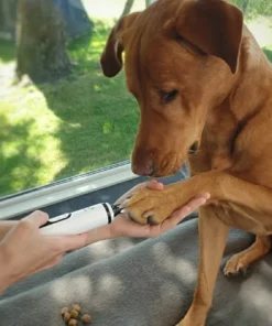 Online Støjsvag Elektrisk Neglesliber til Hunde og Katte Plejemidler Til Katte|Plejemidler Til Hund Med Fokus På Sundhed Og Velvære