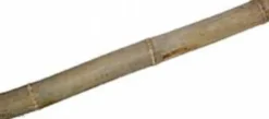 Online 1 stk Gul bambus 100 cm Ø 4,5-5,5 cm Dekoration Til Terrarier