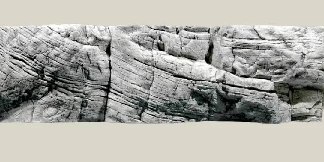 Best Tanganyika Baggrund Hvid Kalksten 200 x 60 cm Akvariebaggrunde