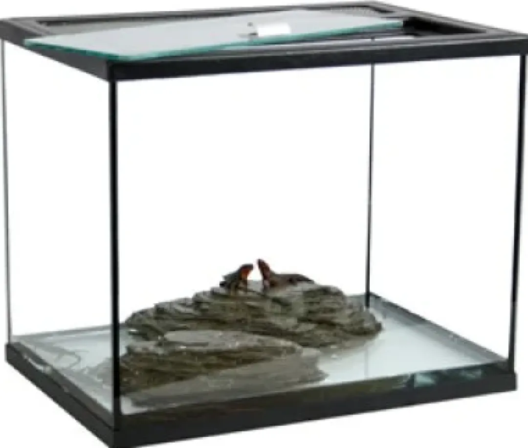 Best Terrarium TOPP 39 liter 40x28x35 cm Terrarier Og Terrarielamper