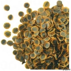 Clearance Tetra Pro Algae Crips 10 L Fiskefoder Til Ferskvandsfisk