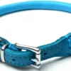 New Timely Halsbånd i rundsyet læder blå 25 cm Hvalpehalsbånd - Bløde Og Sikre Halsbånd Med Perfekt Pasform Til Din Hvalp|Hundehalsbånd Med Stil - Komfort Og Sikkerhed Til Din Hund