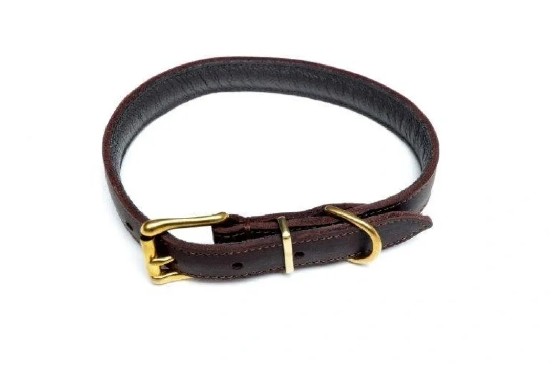 Outlet Timely halsbånd olieret læder brun 12 mm 20 cm - blød og slidstærk komfort til små hunde Hvalpehalsbånd - Bløde Og Sikre Halsbånd Med Perfekt Pasform Til Din Hvalp|Hundehalsbånd Med Stil - Komfort Og Sikkerhed Til Din Hund