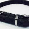 Best Timely halsbånd olieret læder sort 12 mm 30 cm - blød styrke til små hunde Hvalpehalsbånd - Bløde Og Sikre Halsbånd Med Perfekt Pasform Til Din Hvalp|Hundehalsbånd Med Stil - Komfort Og Sikkerhed Til Din Hund