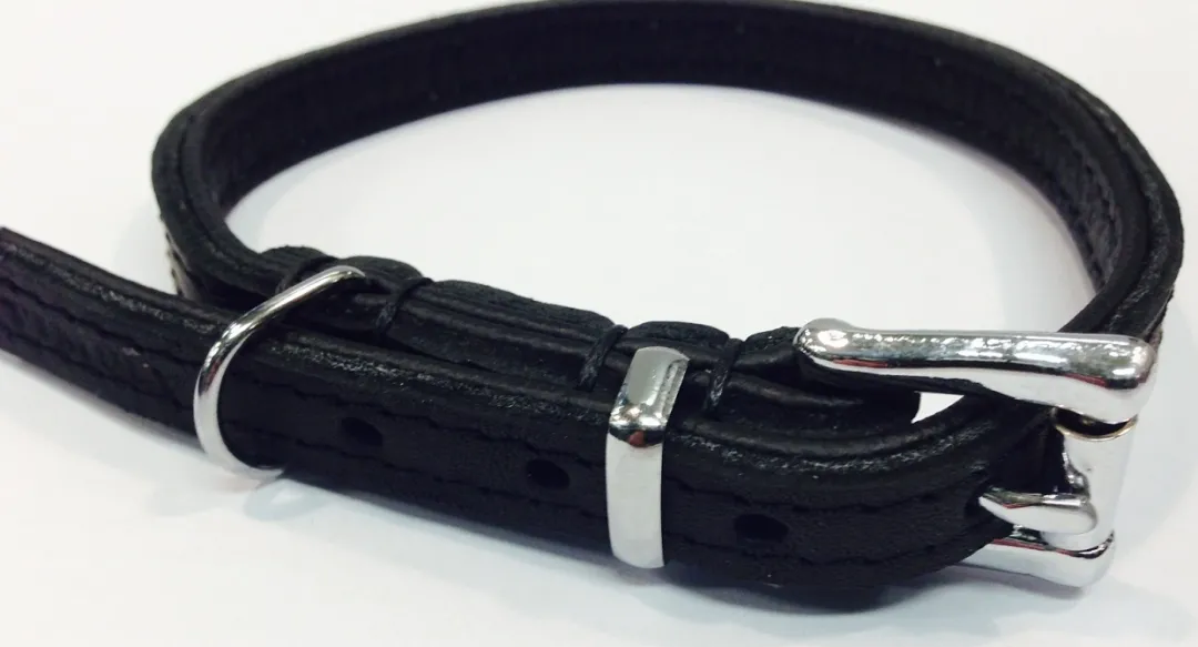 Best Timely halsbånd olieret læder sort 12 mm 30 cm - blød styrke til små hunde Hvalpehalsbånd - Bløde Og Sikre Halsbånd Med Perfekt Pasform Til Din Hvalp|Hundehalsbånd Med Stil - Komfort Og Sikkerhed Til Din Hund