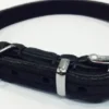 Sale Timely halsbånd olieret læder sort 12 mm 20 cm - blød kontrol til små hunde Hvalpehalsbånd - Bløde Og Sikre Halsbånd Med Perfekt Pasform Til Din Hvalp|Hundehalsbånd Med Stil - Komfort Og Sikkerhed Til Din Hund