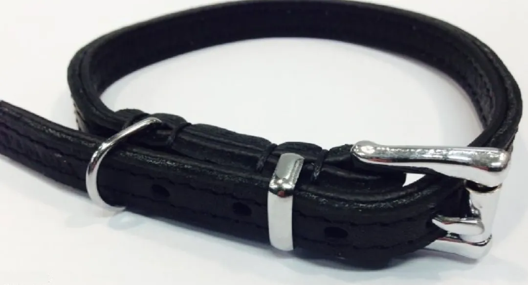 Sale Timely halsbånd olieret læder sort 12 mm 20 cm - blød kontrol til små hunde Hvalpehalsbånd - Bløde Og Sikre Halsbånd Med Perfekt Pasform Til Din Hvalp|Hundehalsbånd Med Stil - Komfort Og Sikkerhed Til Din Hund