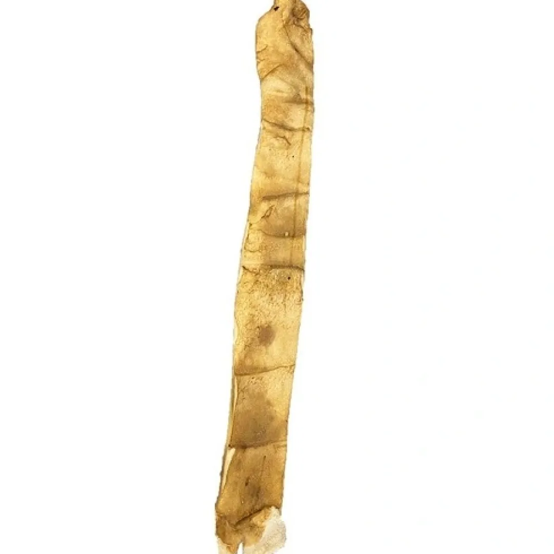 Sale Oksehovedhud 75 cm - Naturligt tyggeben til hunde Hundeguf Og Tyggeben Til Hunde
