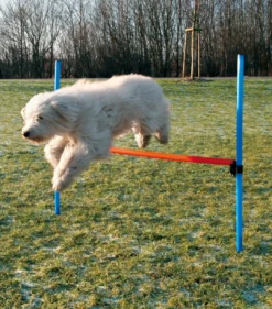 Sale Agility Hurdle - springtræning til hunde Hundelegetøj Til Alle Hunde Leg Og Aktivering Året Rundt|Legetøj Til Hvalpe - Sjov Leg, Aktivering Og Tryghed Fra Første Dag