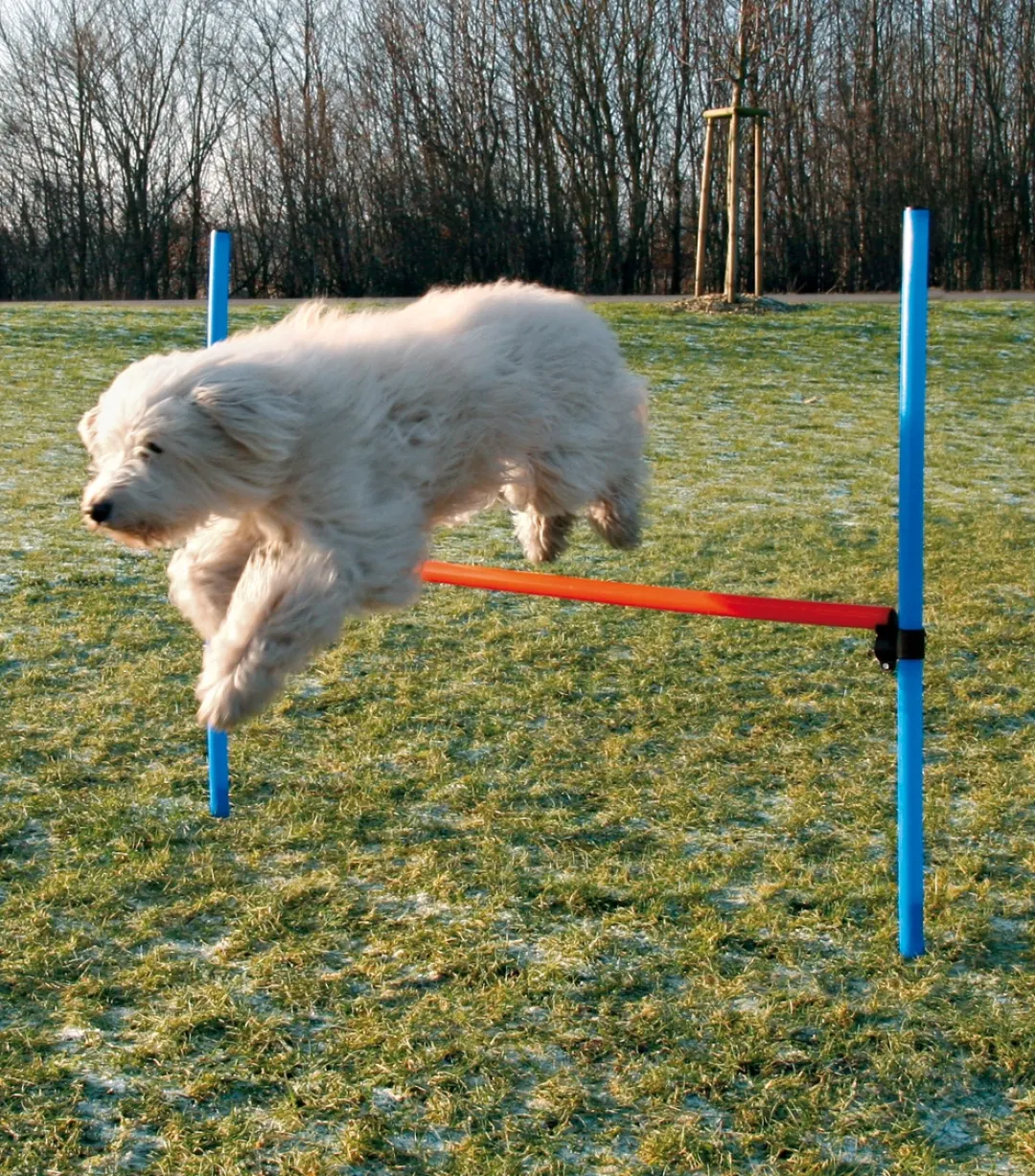 Sale Agility Hurdle - springtræning til hunde Hundelegetøj Til Alle Hunde Leg Og Aktivering Året Rundt|Legetøj Til Hvalpe - Sjov Leg, Aktivering Og Tryghed Fra Første Dag