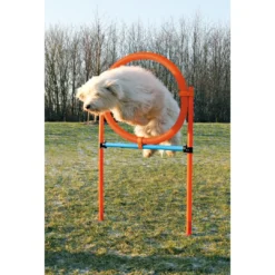 Sale Agility Ring - sjov træning til hunde Hundelegetøj Til Alle Hunde Leg Og Aktivering Året Rundt|Legetøj Til Hvalpe - Sjov Leg, Aktivering Og Tryghed Fra Første Dag