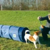 Agility Tunnel - sjov træning til hunde Hundelegetøj Til Alle Hunde Leg Og Aktivering Året Rundt|Legetøj Til Hvalpe - Sjov Leg, Aktivering Og Tryghed Fra Første Dag