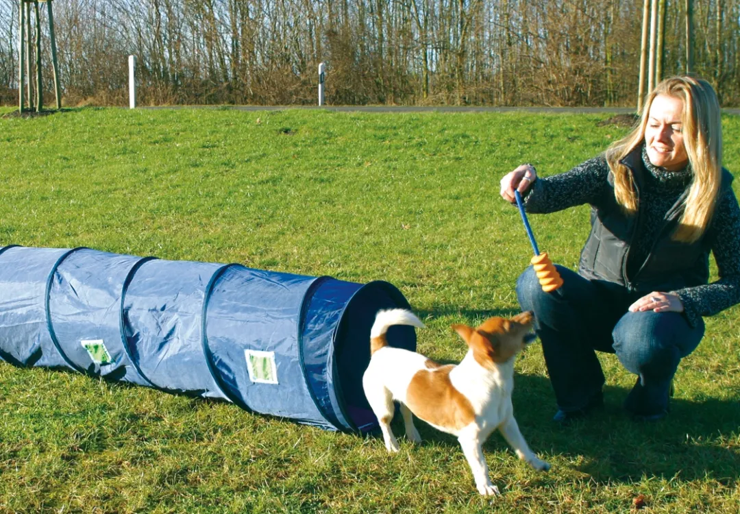 Agility Tunnel - sjov træning til hunde Hundelegetøj Til Alle Hunde Leg Og Aktivering Året Rundt|Legetøj Til Hvalpe - Sjov Leg, Aktivering Og Tryghed Fra Første Dag
