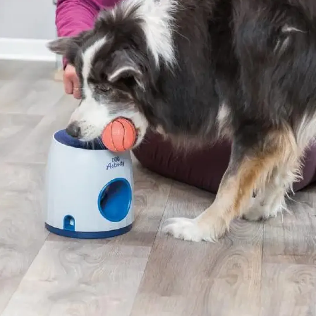 Best Hunde aktivitets spil Ball & Treat - sjovt spil til hunde Hundelegetøj Til Alle Hunde Leg Og Aktivering Året Rundt|Legetøj Til Hvalpe - Sjov Leg, Aktivering Og Tryghed Fra Første Dag