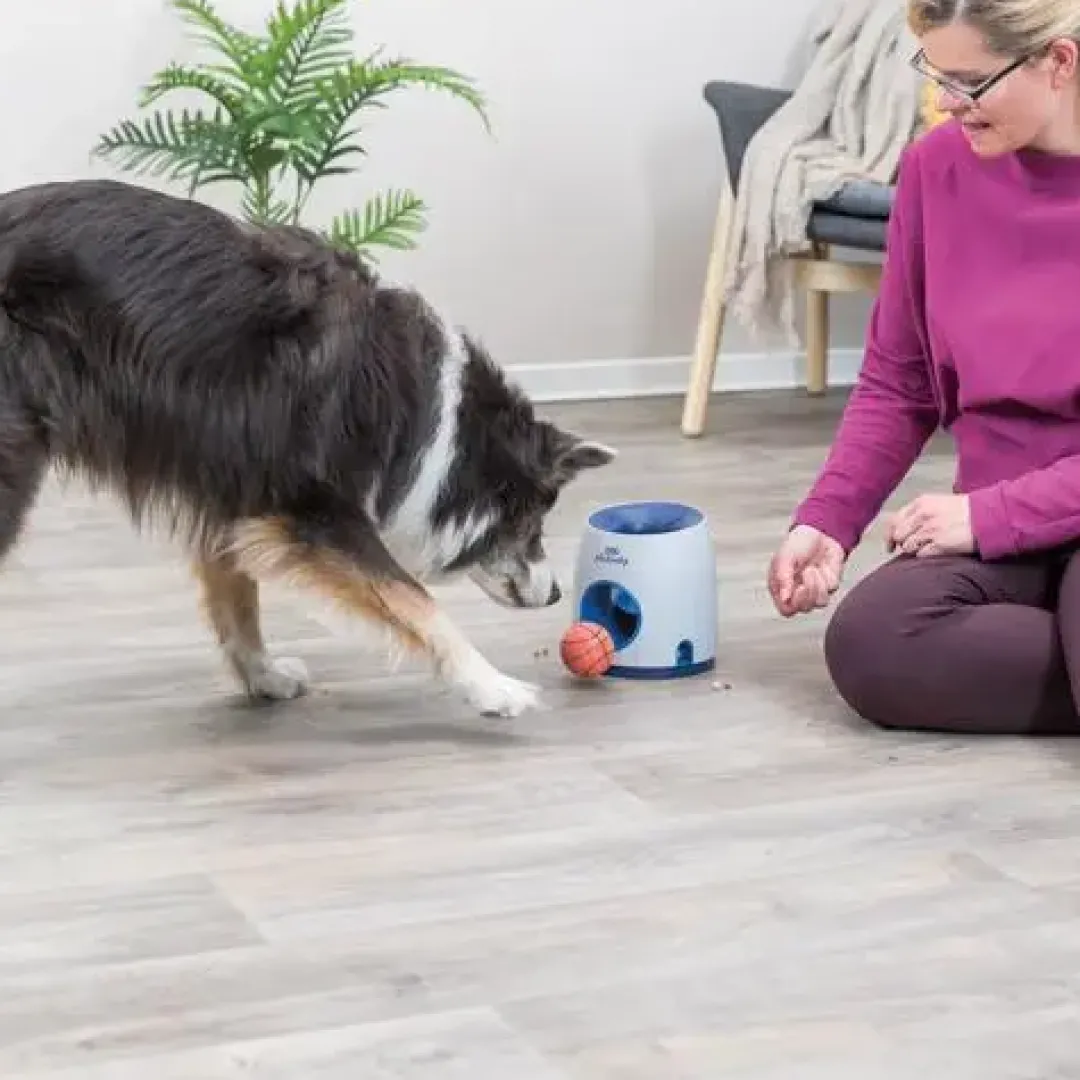 Best Hunde aktivitets spil Ball & Treat - sjovt spil til hunde Hundelegetøj Til Alle Hunde Leg Og Aktivering Året Rundt|Legetøj Til Hvalpe - Sjov Leg, Aktivering Og Tryghed Fra Første Dag