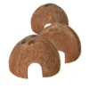 Clearance Kokosnød hule ø 8-12 cm Aquascaping|Huler Til Terrarier