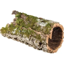Outlet korkrør Ø 30 cm (XL) Dekoration Til Terrarier