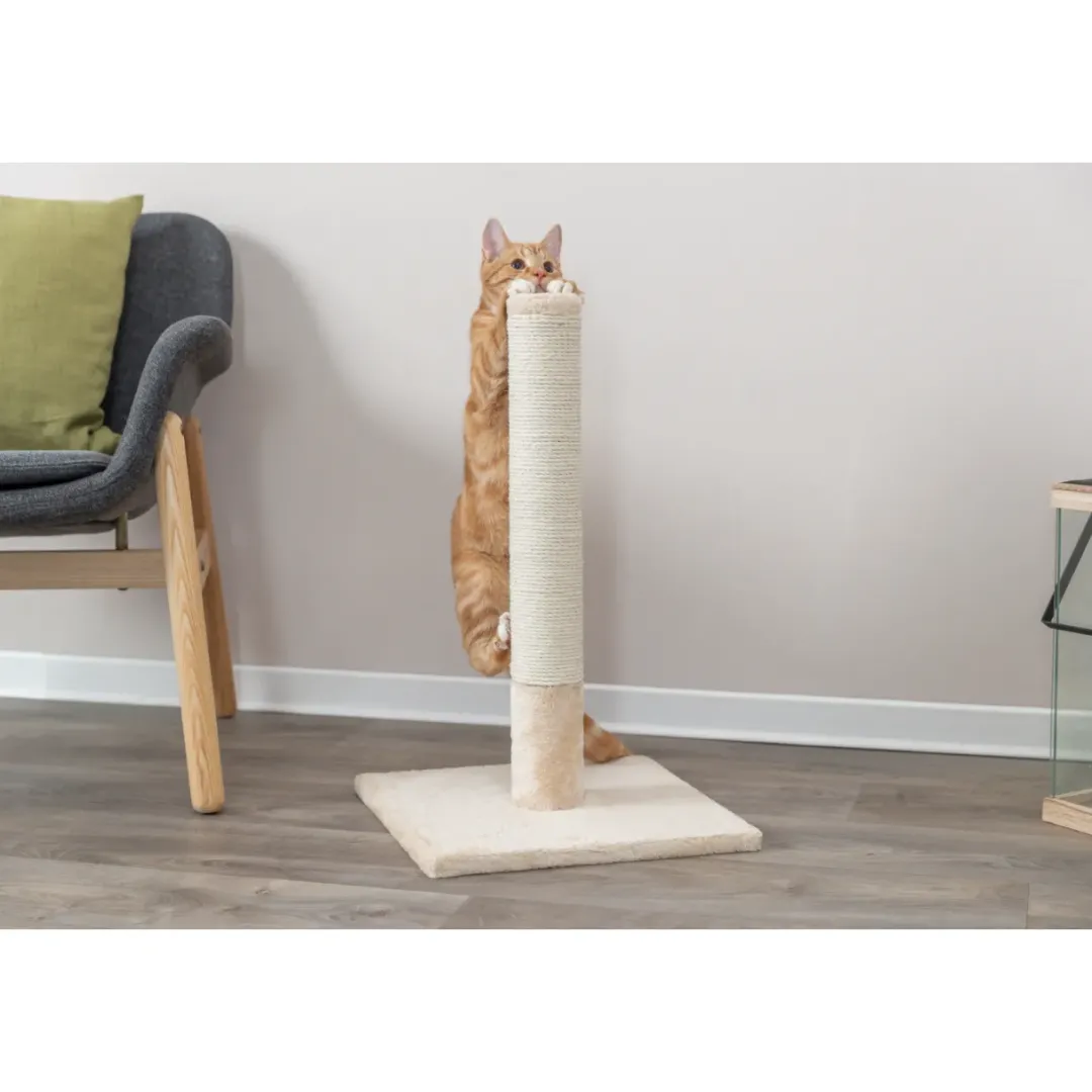 Online kradsetræer Batres Beige 62 cm Kradsetræer Og Klatremøbler Til Kat|Kradsetræ Til Killinger - Leg Træning Og Klopleje I Et