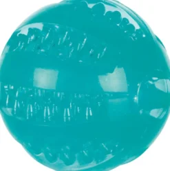 Hot Mintfresh Bold Ø 6 cm - tandrensende bold med mintsmag Hundelegetøj Til Alle Hunde Leg Og Aktivering Året Rundt|Legetøj Til Hvalpe - Sjov Leg, Aktivering Og Tryghed Fra Første Dag