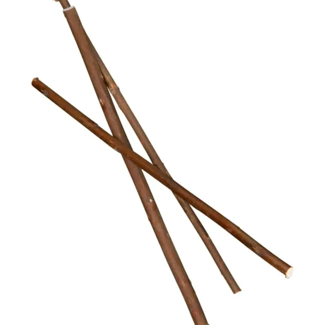 Clearance Pilekviste grene 18 cm 20 stk Foder & Snack Til Gnavere & Kanin