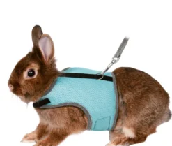Online soft sele til kanin 25-32 cm Seler & Liner Til Kæledyr