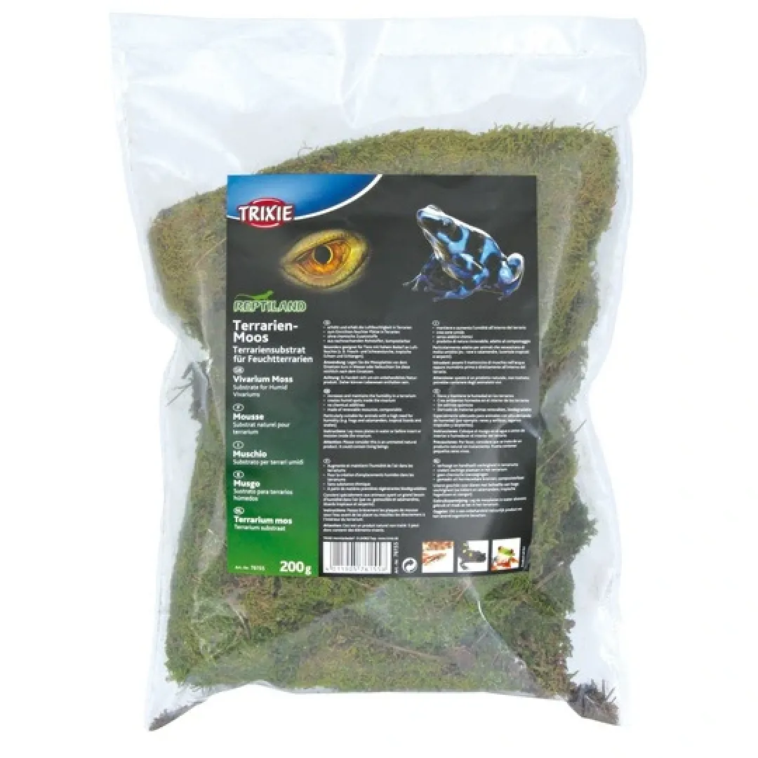 Clearance Terrariemos 200 g Dekoration Til Terrarier