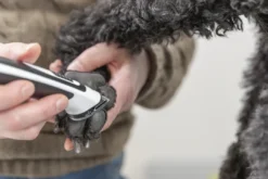 Clearance Trådløs Potetrimmer SLIM TR500 Plejemidler Til Hund Med Fokus På Sundhed Og Velvære