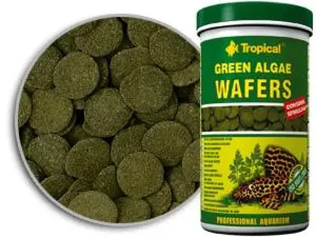Green Algae Wafers 5 liter Fiskefoder Til Ferskvandsfisk