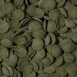 Clearance Green Algae Wafers 250 ml Fiskefoder Til Ferskvandsfisk
