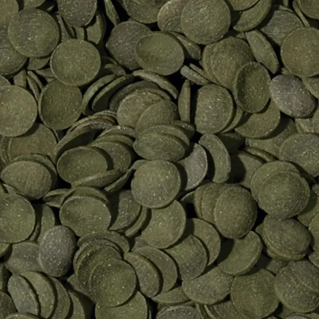 Clearance Green Algae Wafers 250 ml Fiskefoder Til Ferskvandsfisk