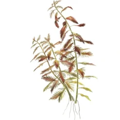 Clearance Tropica Proserpinaca palustris 1-2-GROW x 3 Akvarieplanter
