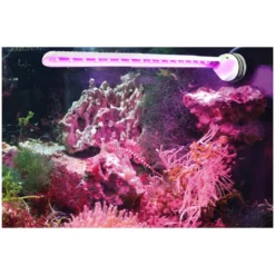 Hot LED eco chic Refugium 8831 - Effektiv LED til refugium og sump Lamper Til Saltvandsakvarier|Akvarielamper