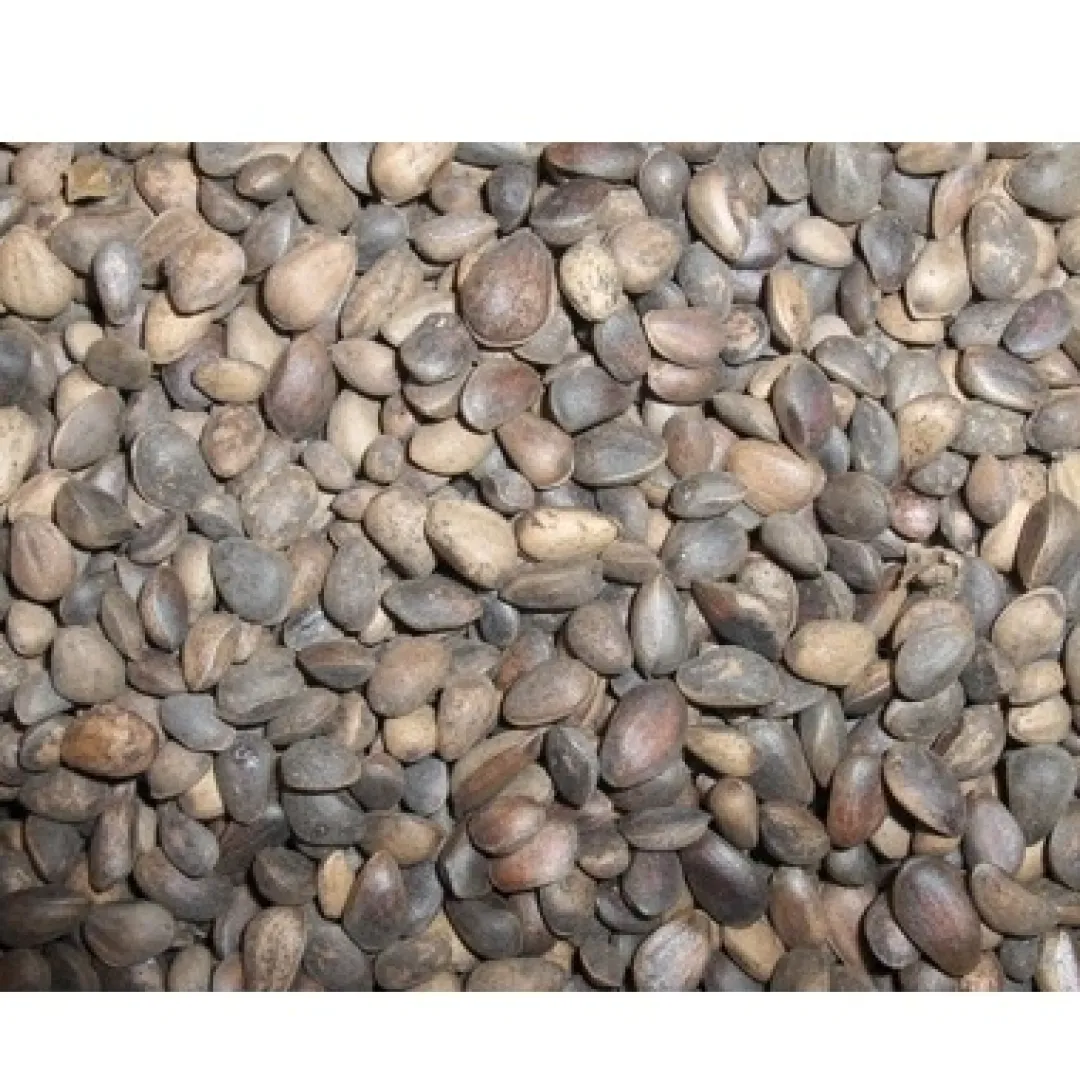 Sale Tyroler nødder 25 kg Fuglefoder