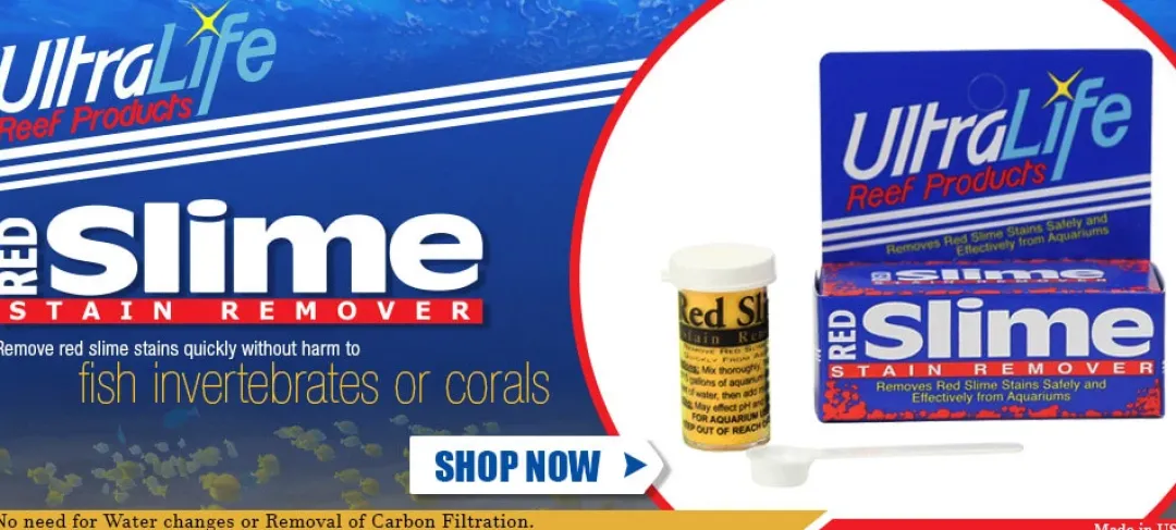 Sale Red Slime Remover af Cyanobakterier Vandbehandlingsprodukter Til Saltvandsakvarier