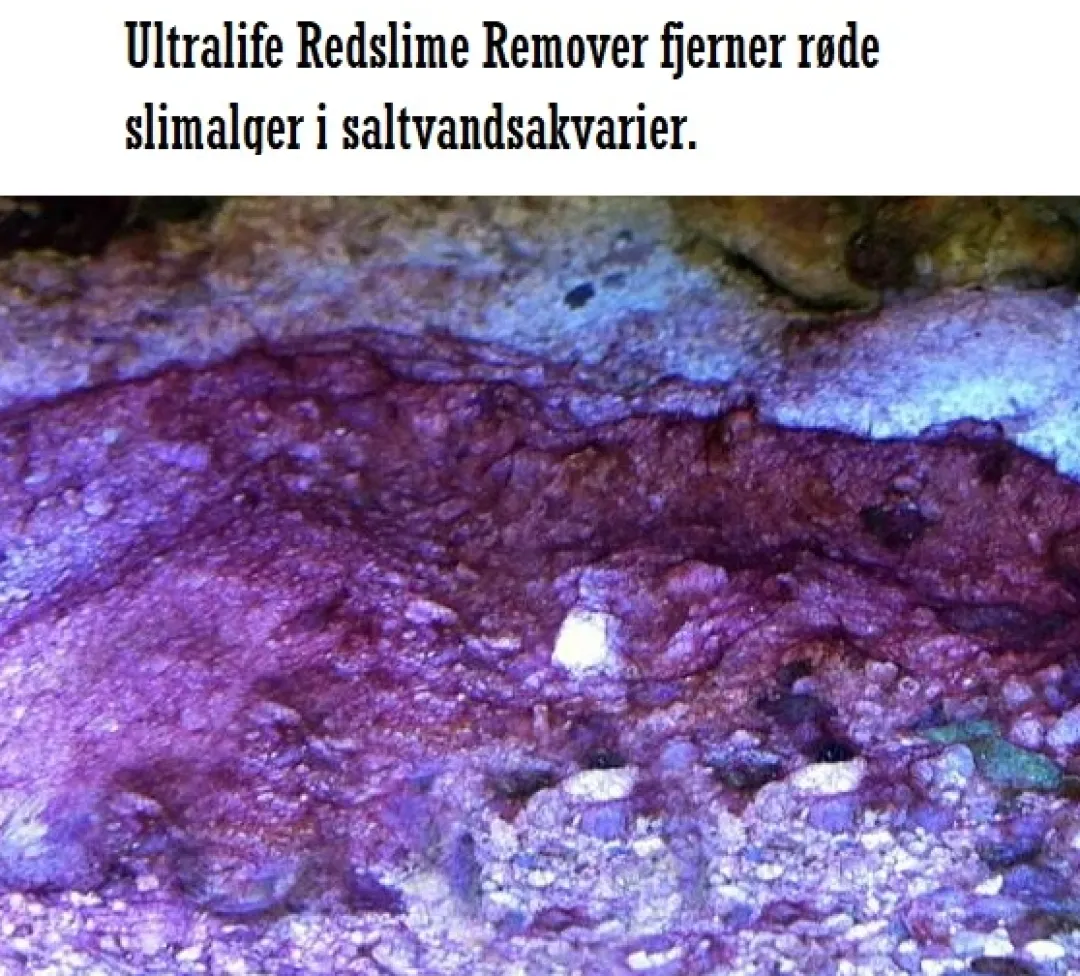 Sale Red Slime Remover af Cyanobakterier Vandbehandlingsprodukter Til Saltvandsakvarier