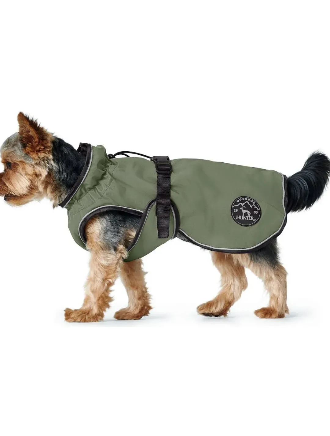 Sale Uppsala dækken Khaki grøn 35 cm Hundetøj Til Hvalpe - Varme Dækkener Og Sko Til Trygge Gåture|Hundetøj Til Alle Hunde Med Varme Dækkener Og Sko
