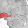 Outlet Vestafrikansk Tykhalegecko - Hemiteconyx caudicinctus Krybdyr
