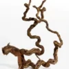 Outlet Vinrankerod 40-70 cm (Winewood) Aquascaping|Dekoration Til Terrarier