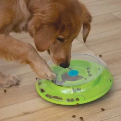 Outlet Wobble Bowl Grøn Niveau 1 - interaktiv foderskål til hunde Hundelegetøj Til Alle Hunde Leg Og Aktivering Året Rundt|Legetøj Til Hvalpe - Sjov Leg, Aktivering Og Tryghed Fra Første Dag