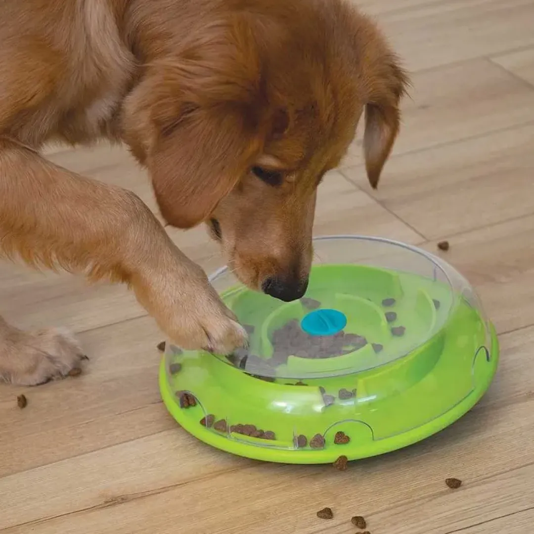 Outlet Wobble Bowl Grøn Niveau 1 - interaktiv foderskål til hunde Hundelegetøj Til Alle Hunde Leg Og Aktivering Året Rundt|Legetøj Til Hvalpe - Sjov Leg, Aktivering Og Tryghed Fra Første Dag