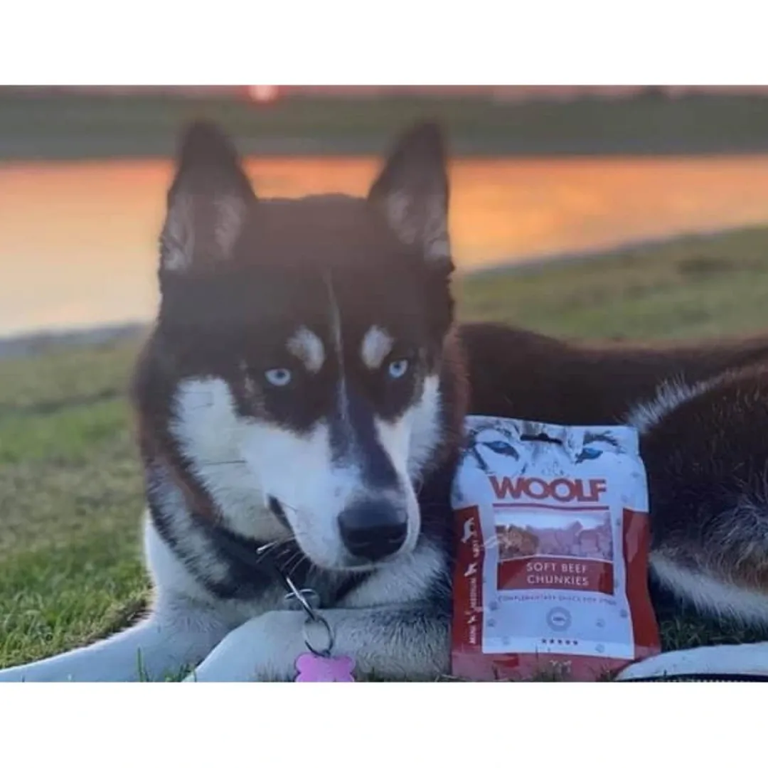 Discount Woolf Hunde- og Kattesnack Bløde Oksekødsbidder Snacks Til Hvalpe - Lækre Godbidder Til Træning Og Forkælelse|Kattefoder & Snacks
