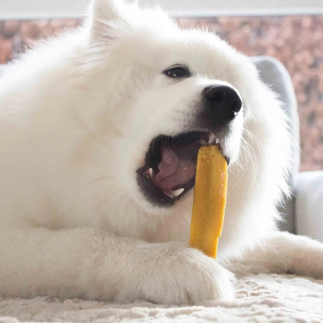 Yaki Gurkemeje 100-109 g L - naturligt tyggeben til hunde Hundeguf Og Tyggeben Til Hunde