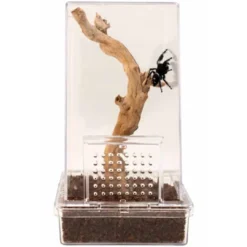 Online Zoo Med Spring Edderkop Kit 7,6 x 7,6 x 15,25 cm Terrarier Og Terrarielamper